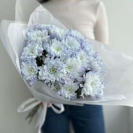 5 голубых хризантем (Букет №252)