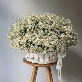 Корзина с ромашками 55