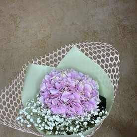 Розовая гортензия с гипсофилой