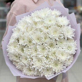 11 кустовых хризантем