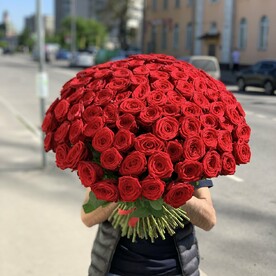 51 Роза красная