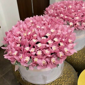 Букет из орхидеи