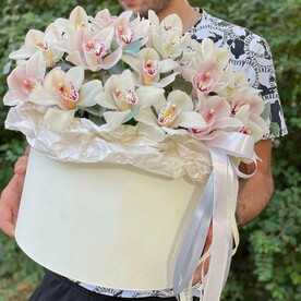 Орхидеи в коробке