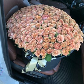 Капучино🤎