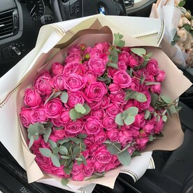 Мисти Бабблс