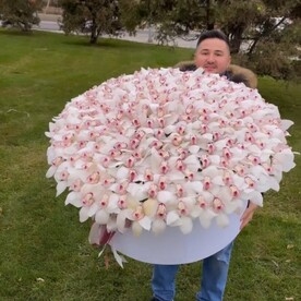 Королевский подарок