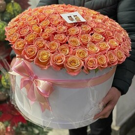 Единственное сокровище