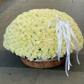 Корзина из 501 розы