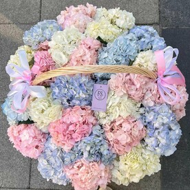 Гортензия в корзине