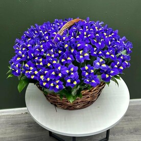 Ирис в корзине