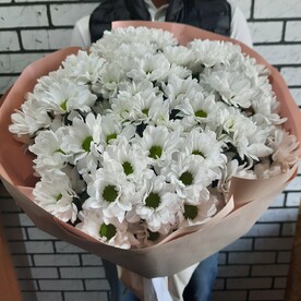 Кустовая хризантема