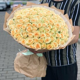 Пинч Аваланж