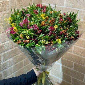 Альстромерия