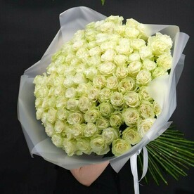 101 белая роза