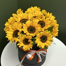 Солнышко 🌞