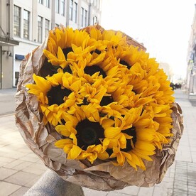 Солнечные подсолнухи