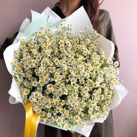 Букет из ромашки