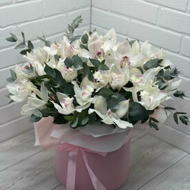 Орхидеи в коробке
