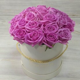 Розы розовые