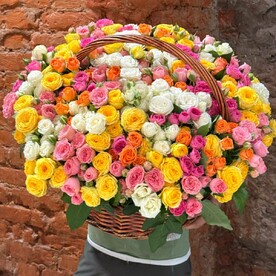 Роза кустовая, Корзина, Оазис