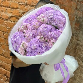 Гортензия с маттиолой