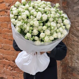 Роза кустовая