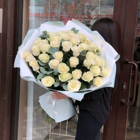 Серебрянка