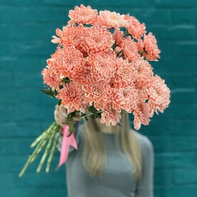 Букет 5 хризантем