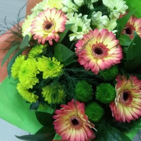 Солнечный день