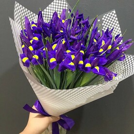 Весенний прованс