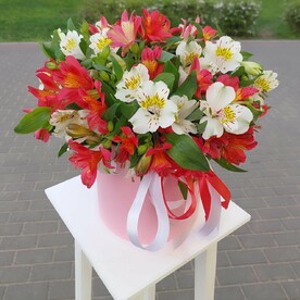 Альстромерия а коробочке