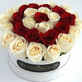 Мир вокруг нас)