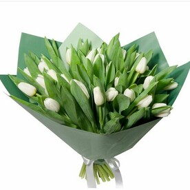 Сочная зелень