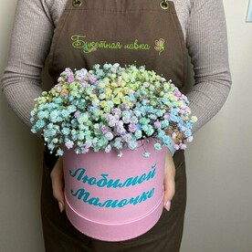 Коробочка с гипсофилой