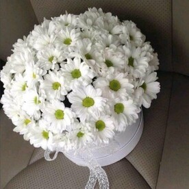 Коробочка с ромашковой хризантемой