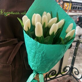 15 белых тюльпанов