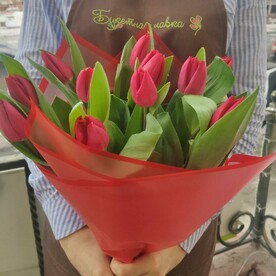 11 красных тюльпанов