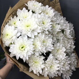 Букет из 5 кустовых хризантем