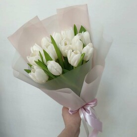 15 белых тюльпанов