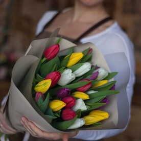 25 тюльпанов микс