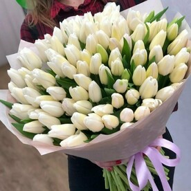 101 белый тюльпан