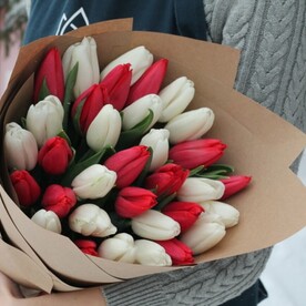 35 бело-красных тюльпанов