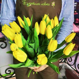 19 желтых тюльпанов