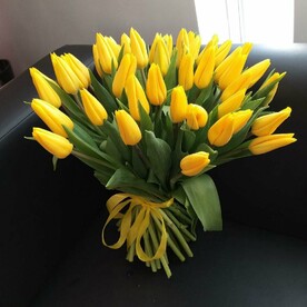 51 желтый тюльпан