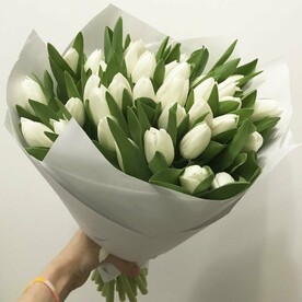 35 белых тюльпанов