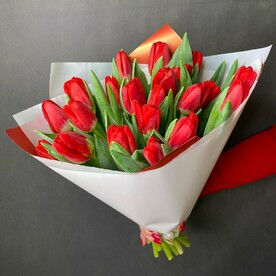 25 красных тюльпанов