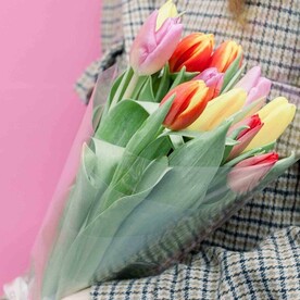 11 тюльпанов