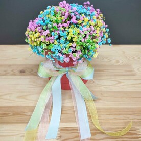 Яркая коробочка