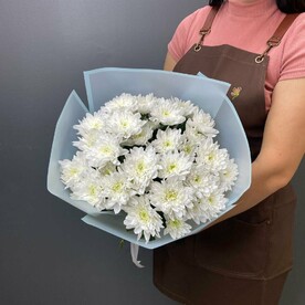 5 хризантема белых