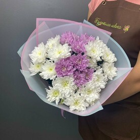 5 хризантем микс